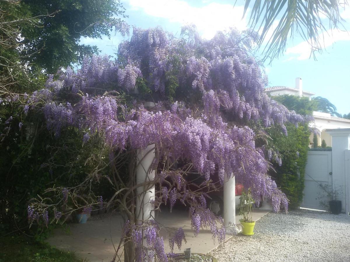 Villa Amadeus Xabia Balcon del Mar Kültér fotó