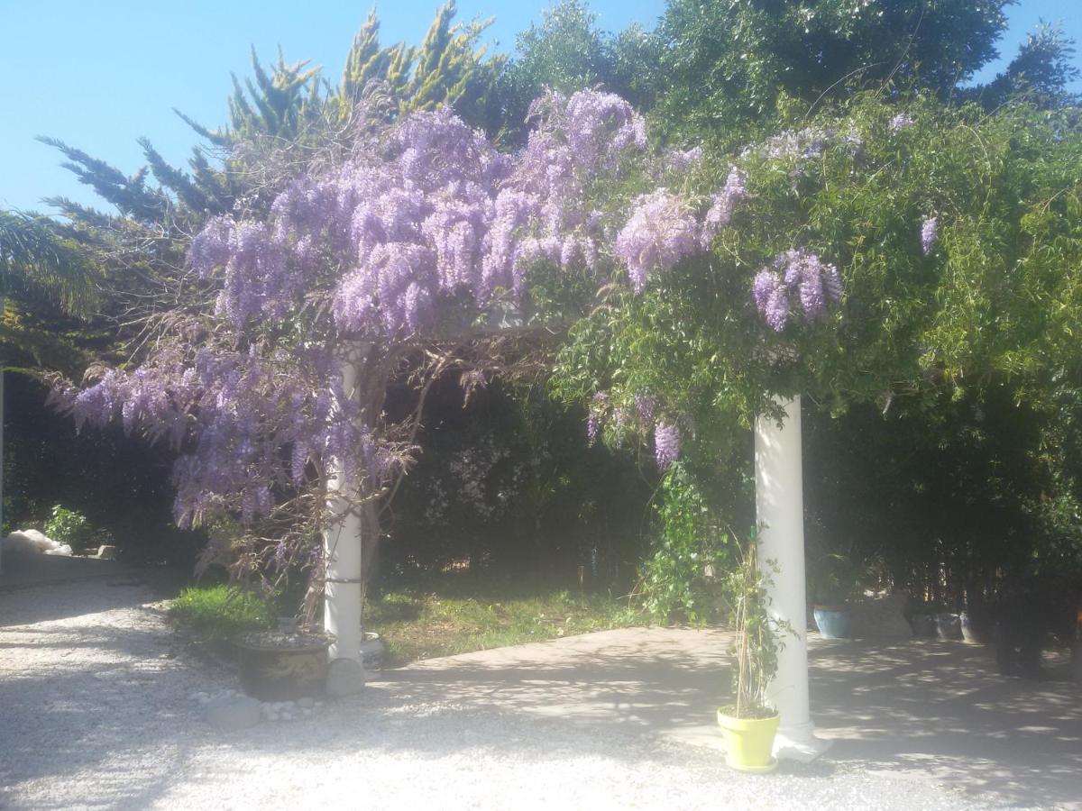 Villa Amadeus Xabia Balcon del Mar Kültér fotó