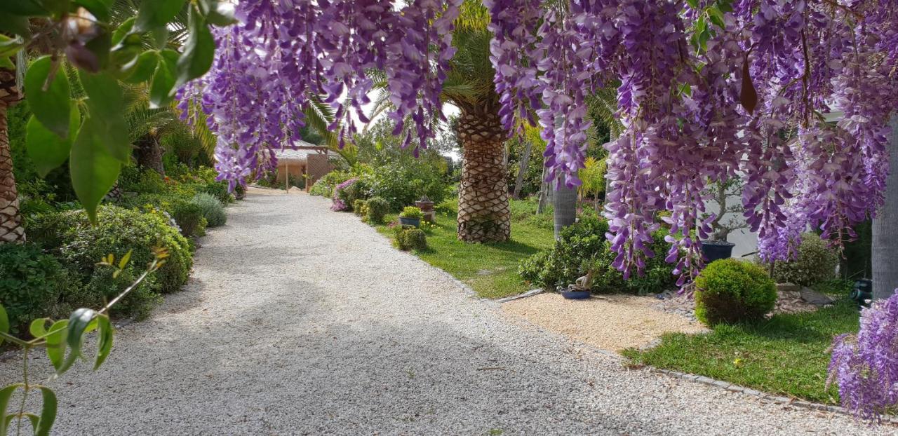 Villa Amadeus Xabia Balcon del Mar Kültér fotó